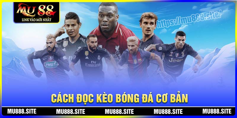 Cách đọc kèo bóng đá cơ bản dễ hiểu