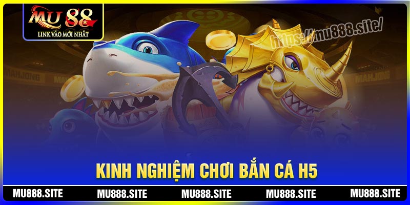 Kinh nghiệm chơi bắn cá H5 dễ dàng thắng lớn Kinh nghiệm chơi bắn cá H5 dễ dàng thắng lớn