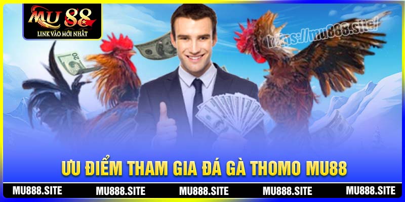 Ưu điểm tham gia cá cược Đá gà Thomo MU88 Ưu điểm tham gia cá cược Đá gà Thomo MU88